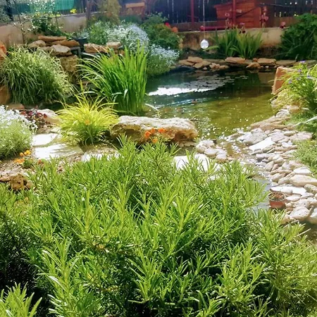 Sanitas 3* 테기르기올