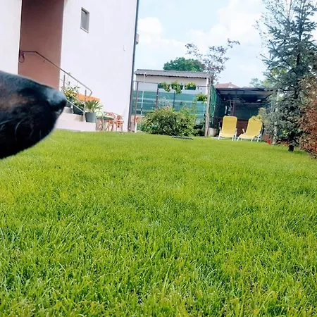 Sanitas 게스트하우스 테기르기올