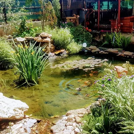 게스트하우스 Sanitas 테기르기올