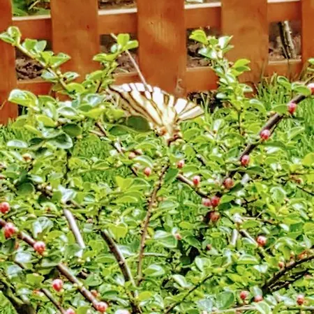 게스트하우스 Sanitas