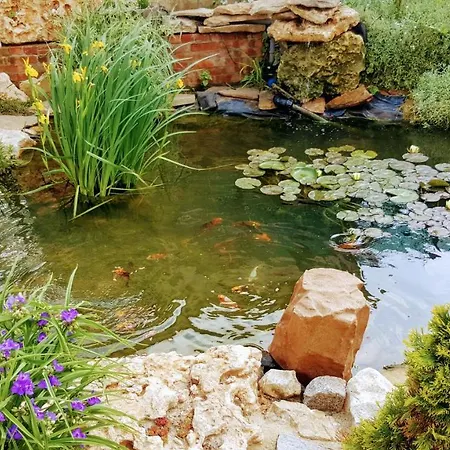 게스트하우스 Sanitas 3*