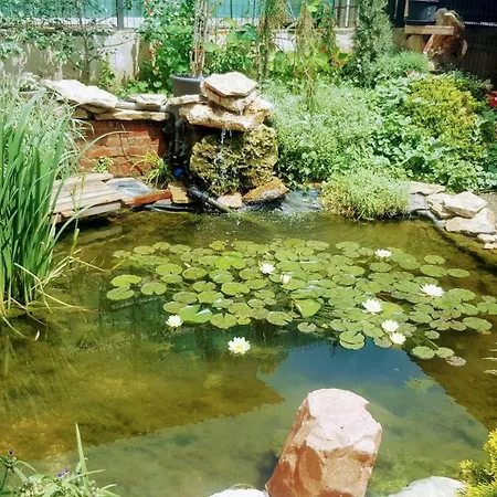 Sanitas 3* 테기르기올