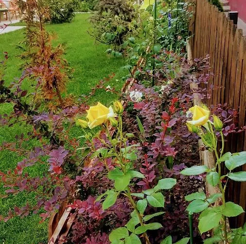 Sanitas Konukevi Tekirgöl