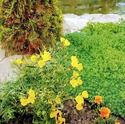 Sanitas 3* Tekirgöl