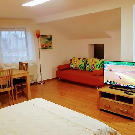 Sanitas テキルギオル