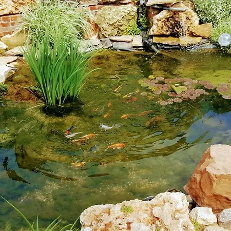 Sanitas 3*