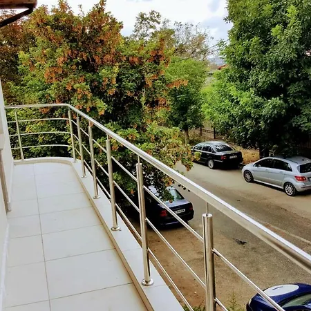 Sanitas تيشيرغيول