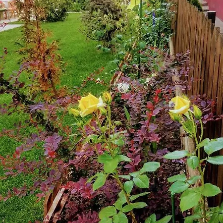 Sanitas ゲストハウス テキルギオル