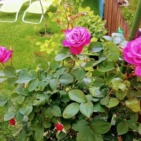 Sanitas Guest house