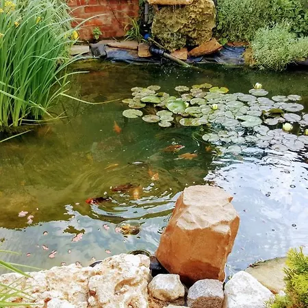 Sanitas