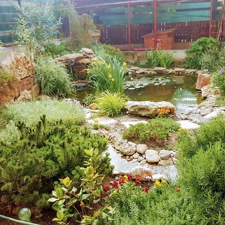 Sanitas ゲストハウス テキルギオル