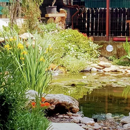 Sanitas Guest house