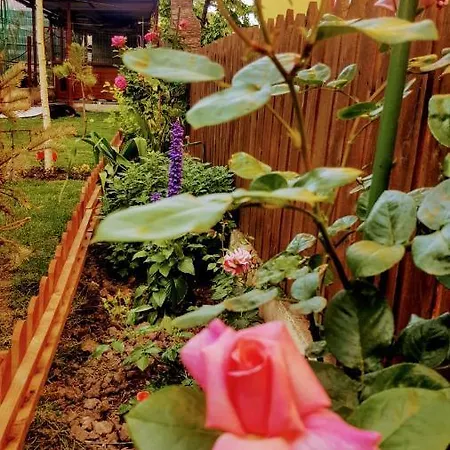 ゲストハウス Sanitas 3*