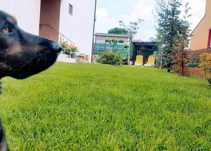 Sanitas Pensiune Techirghiol