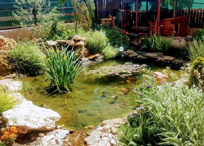 Guest house Sanitas Techirghiol