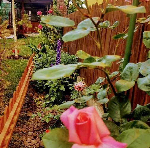 Guest house Sanitas 3*